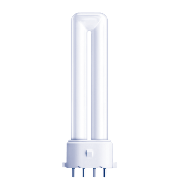 PATRON Dulux S/E PL-S 5W 2700K 2G7 4-pin